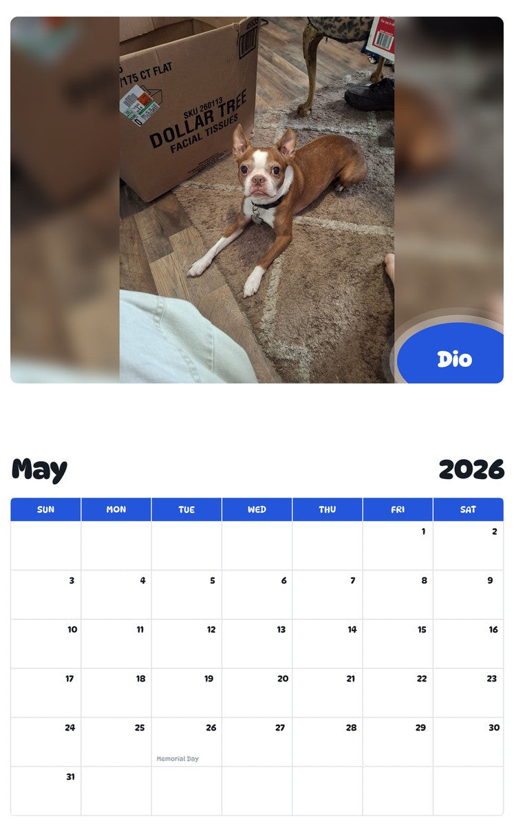 2026 - 2027 Dio - Pawidols Pet Calendar