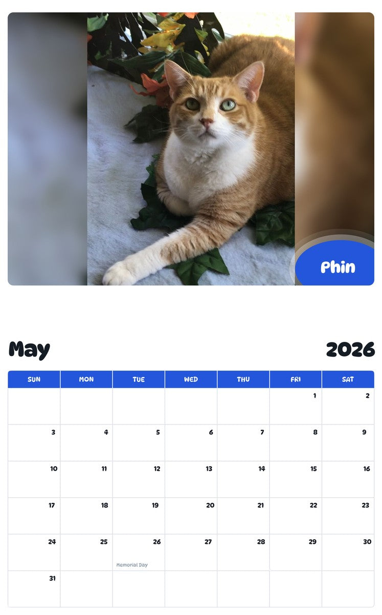 2026 - 2027 Phin - Pawidols Pet Calendar