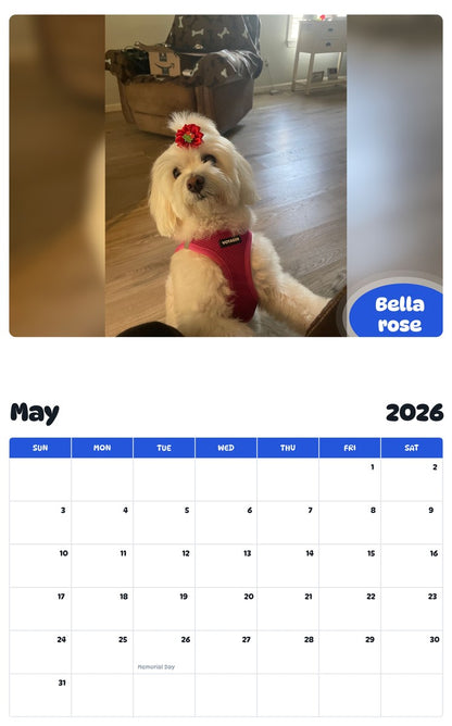 2026 - 2027 Bella rose - Pawidols Pet Calendar