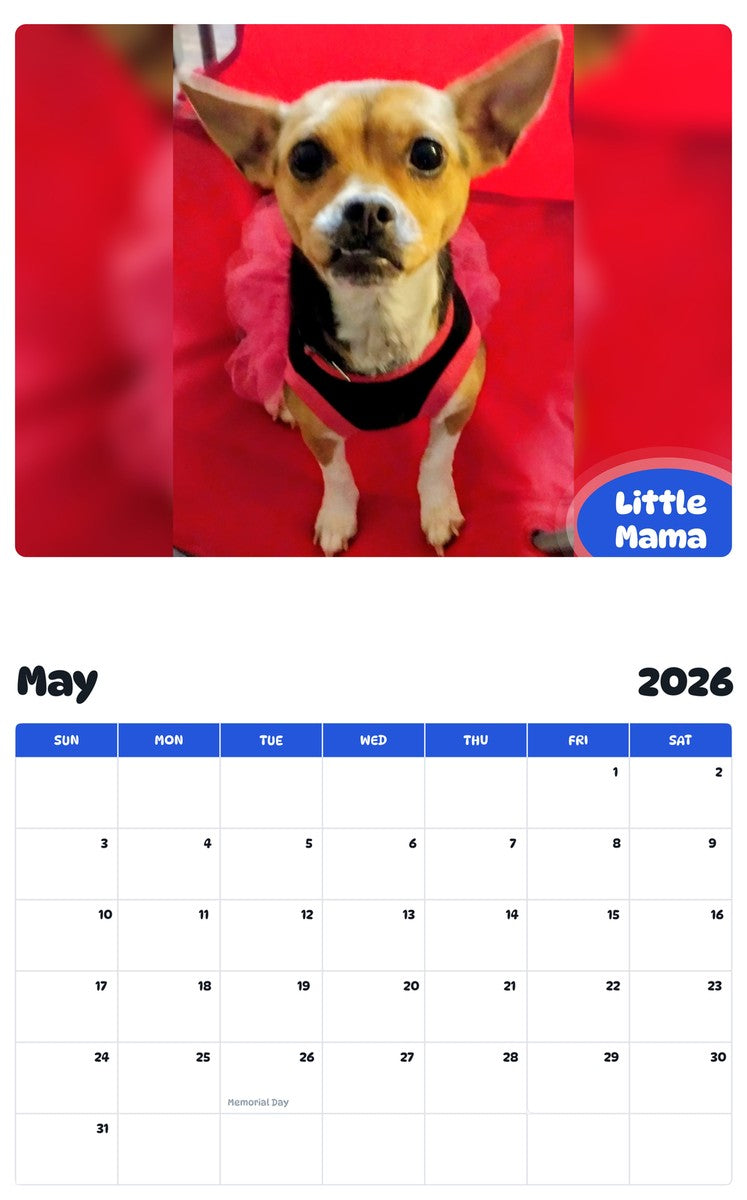 2026 - 2027 Little Mama - Pawidols Pet Calendar
