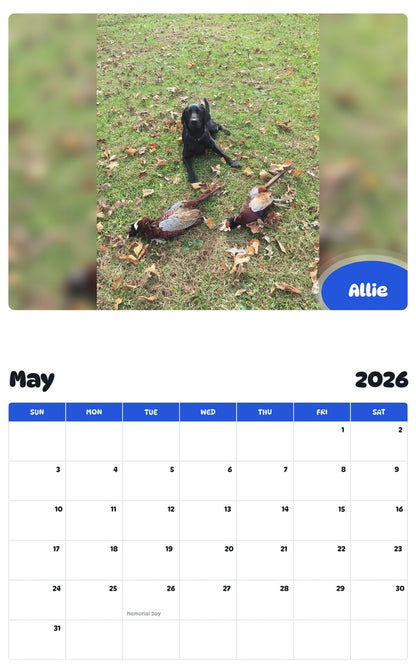 2026 - 2027 Allie - Pawidols Pet Calendar