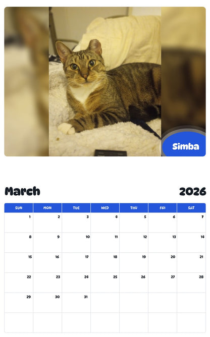 November 2025 - October 2026 Simba - Pawidols Pet Calendar