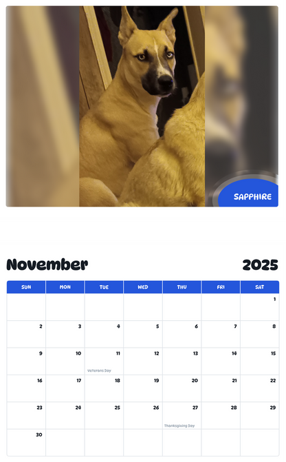 July 2025 - June 2026 Sapphire - Pawidols Pet Calendar