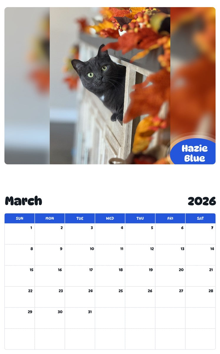 November 2025 - October 2026 Hazie Blue - Pawidols Pet Calendar