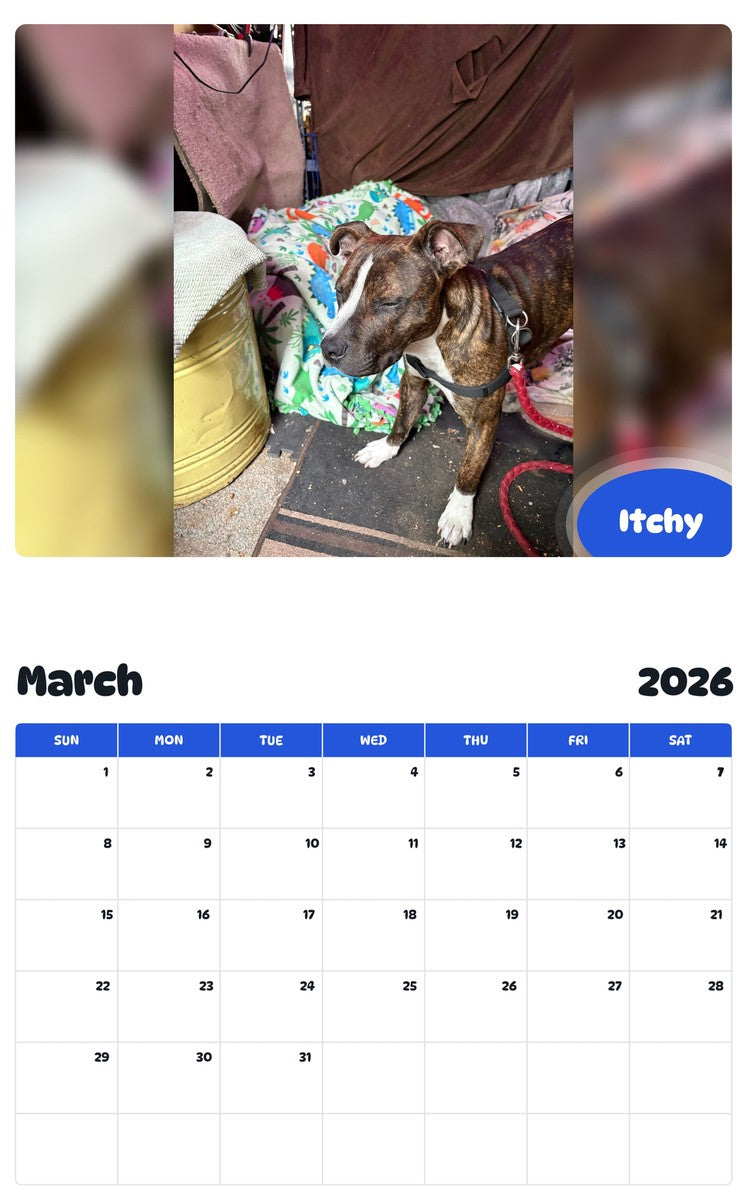 November 2025 - October 2026 Itchy - Pawidols Pet Calendar