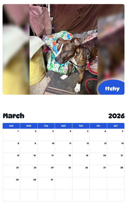 November 2025 - October 2026 Itchy - Pawidols Pet Calendar