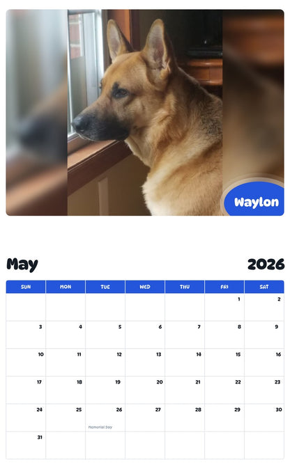 2026 - 2027 Waylon - Pawidols Pet Calendar