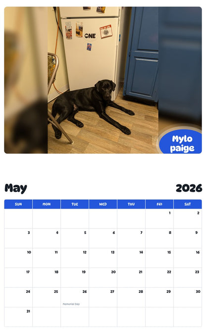 2026 - 2027 Mylo paige - Pawidols Pet Calendar
