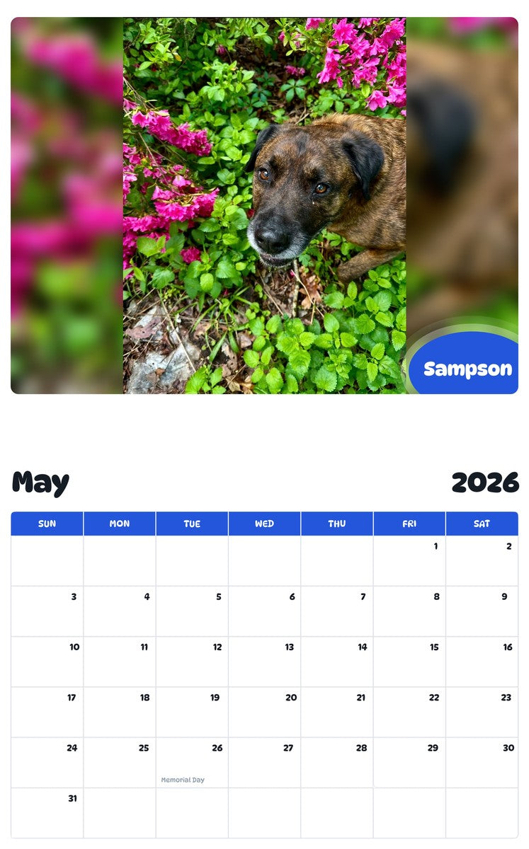 2026 - 2027 Sampson - Pawidols Pet Calendar