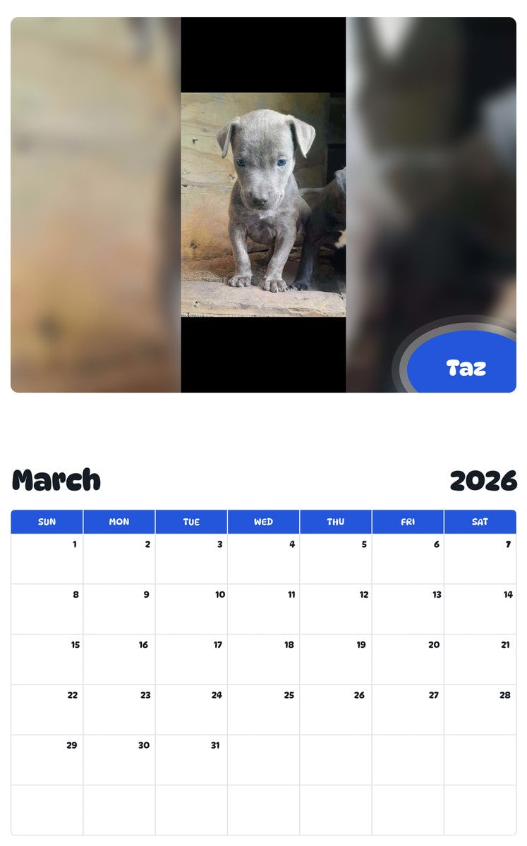 November 2025 - October 2026 Taz - Pawidols Pet Calendar