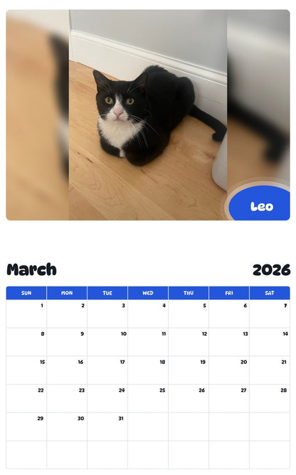 November 2025 - October 2026 Leo - Pawidols Pet Calendar