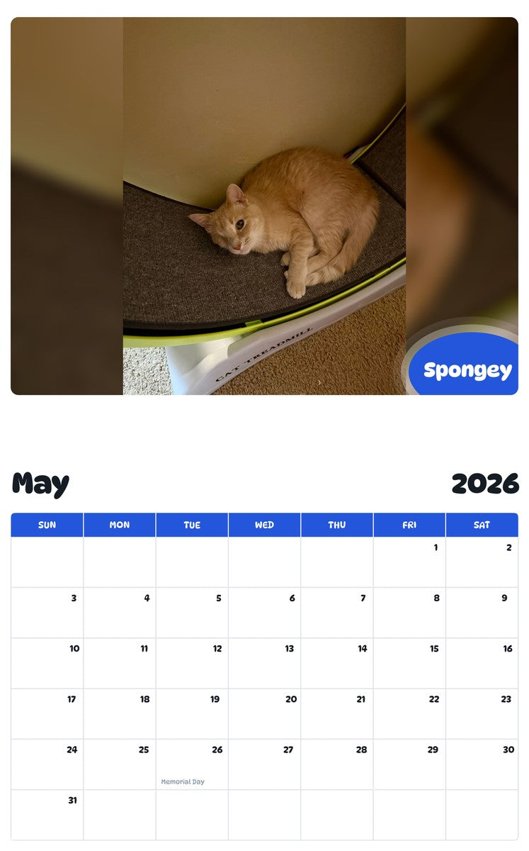 2026 - 2027 Spongey - Pawidols Pet Calendar