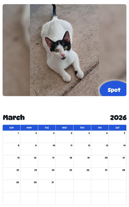 November 2025 - October 2026 Spot - Pawidols Pet Calendar