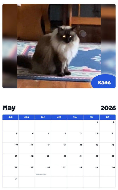 2026 - 2027 Kane - Pawidols Pet Calendar