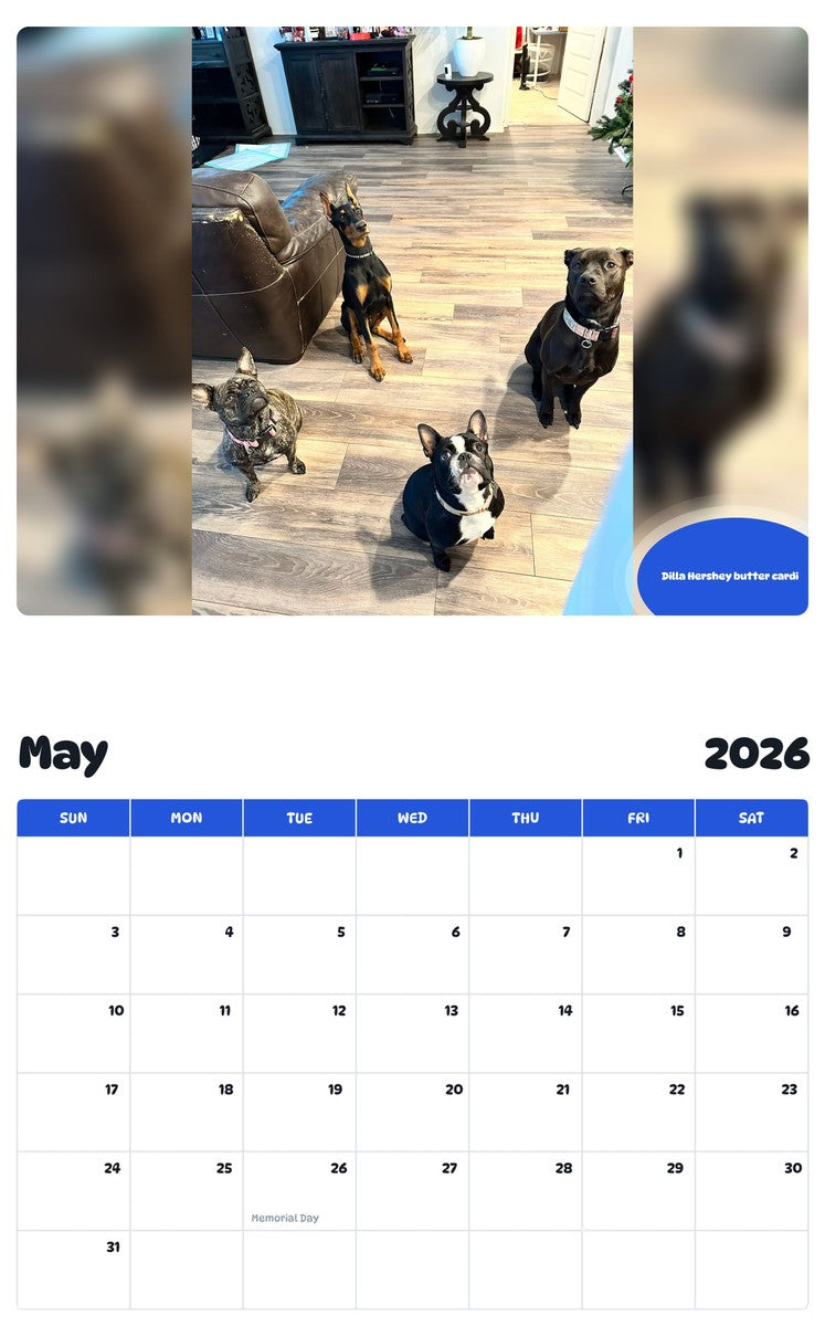 2026 - 2027 Dilla Hershey butter cardi - Pawidols Pet Calendar