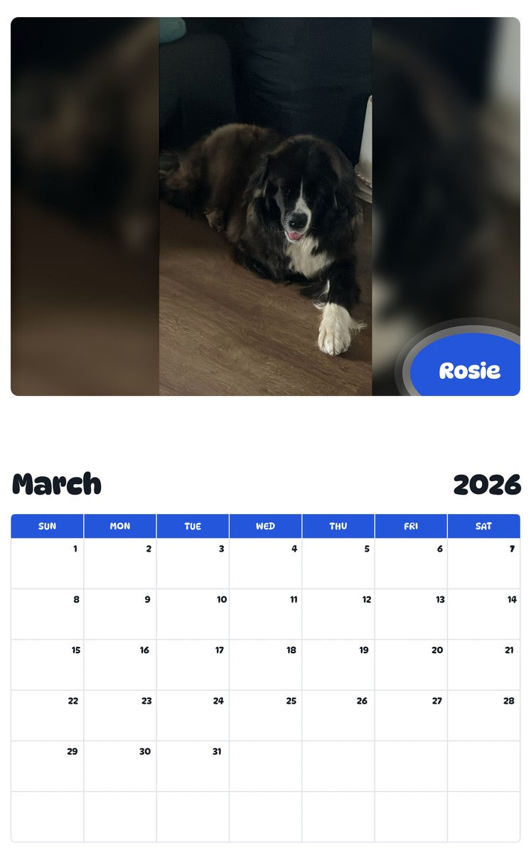 November 2025 - October 2026 Rosie - Pawidols Pet Calendar