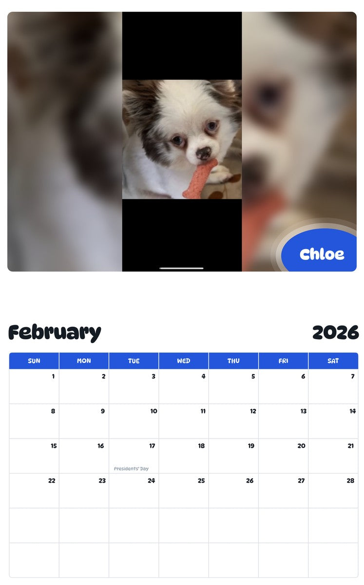 November 2025 - October 2026 Chloe - Pawidols Pet Calendar
