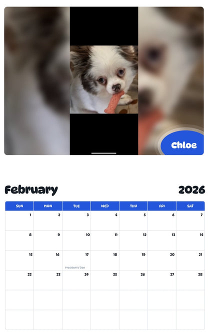November 2025 - October 2026 Chloe - Pawidols Pet Calendar