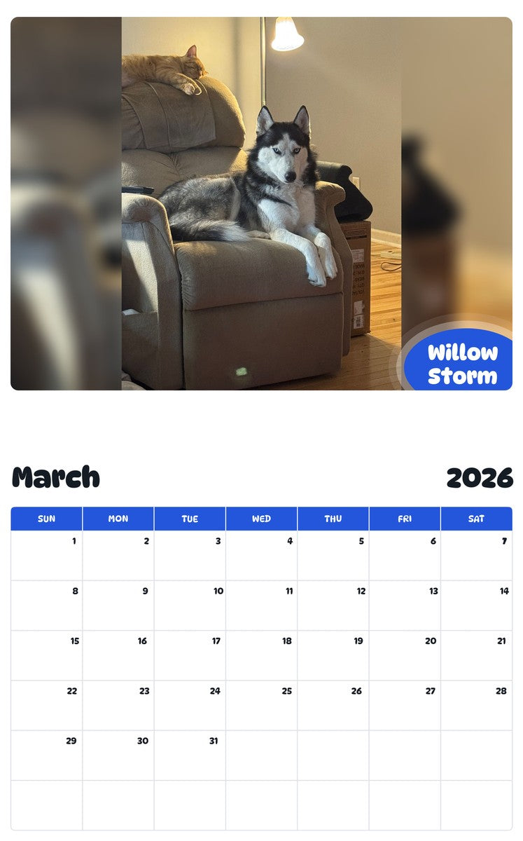 November 2025 - October 2026 Willow Storm - Pawidols Pet Calendar