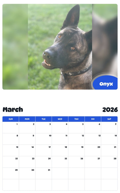 November 2025 - October 2026 Onyx - Pawidols Pet Calendar
