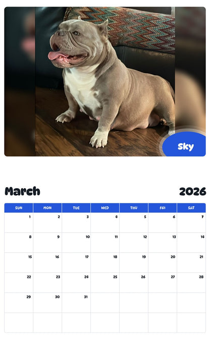 November 2025 - October 2026 Sky - Pawidols Pet Calendar