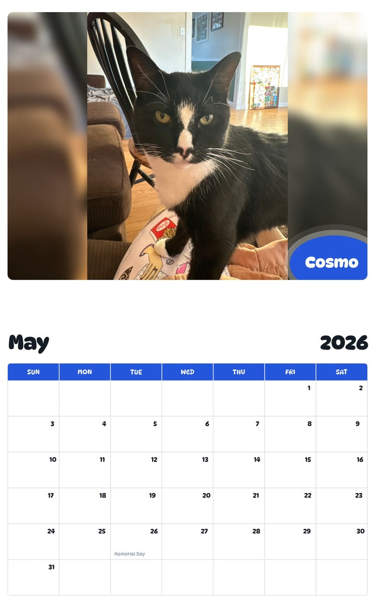 2026 - 2027 Cosmo - Pawidols Pet Calendar