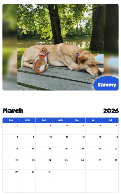 November 2025 - October 2026 Sammy - Pawidols Pet Calendar