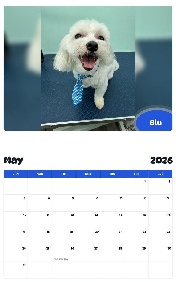 2026 - 2027 Blu - Pawidols Pet Calendar