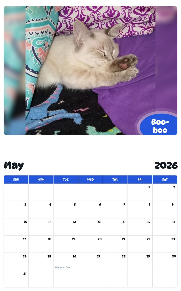 2026 - 2027 Boo-boo - Pawidols Pet Calendar