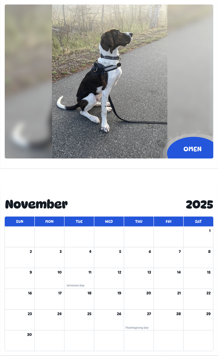 July 2025 - June 2026 Omen - Pawidols Pet Calendar