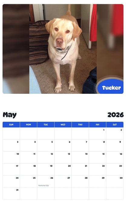 2026 - 2027 Tucker - Pawidols Pet Calendar
