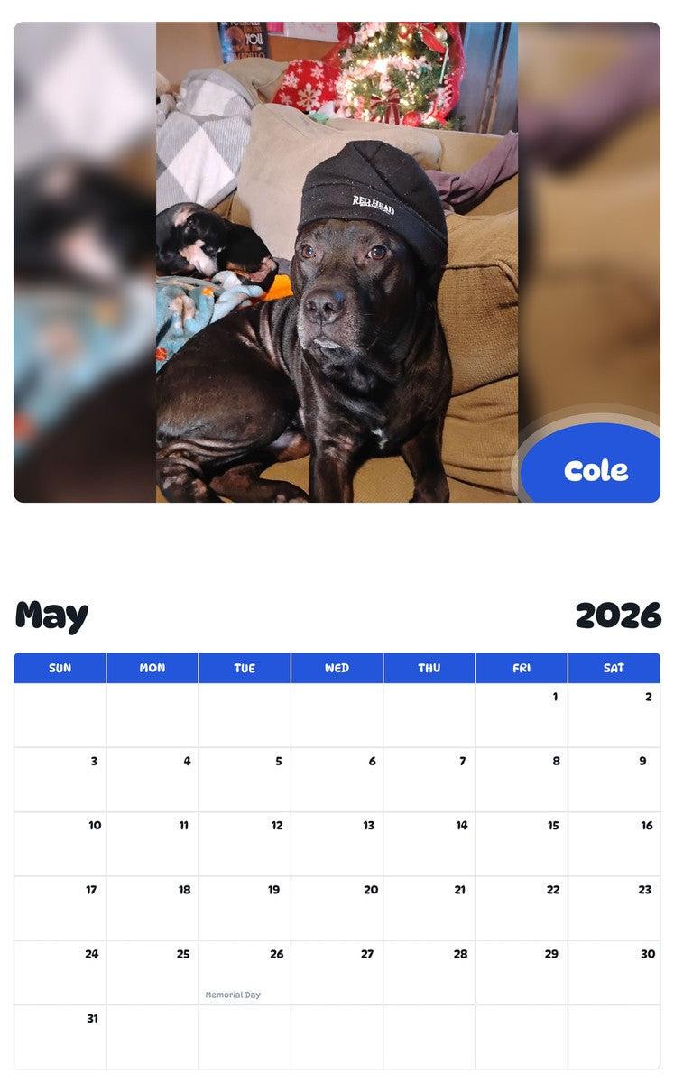 2026 - 2027 Cole - Pawidols Pet Calendar