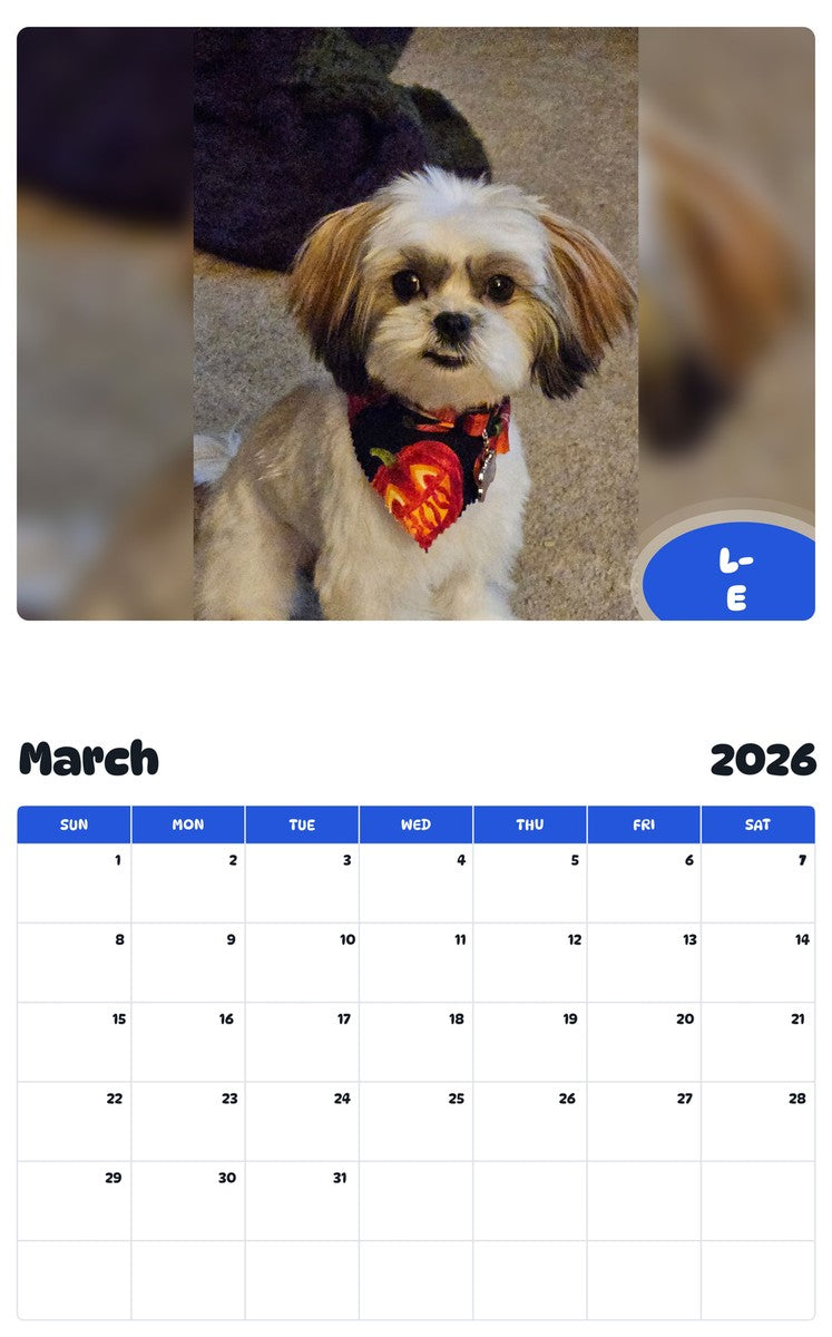 November 2025 - October 2026 L-E - Pawidols Pet Calendar