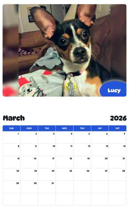November 2025 - October 2026 Lucy - Pawidols Pet Calendar