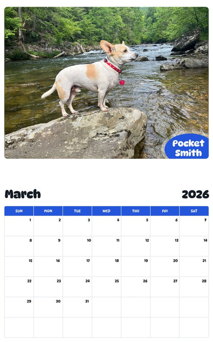 November 2025 - October 2026 Pocket Smith - Pawidols Pet Calendar