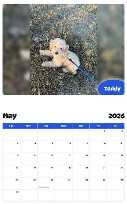 2026 - 2027 Teddy - Pawidols Pet Calendar