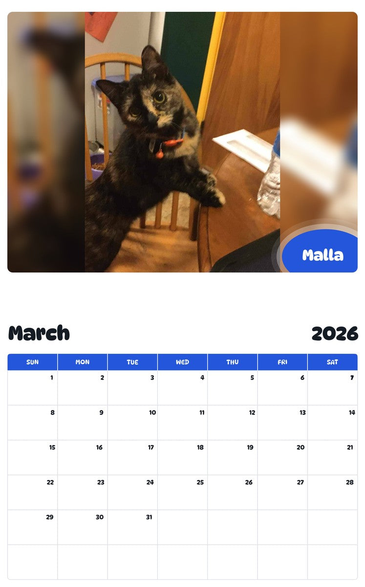 November 2025 - October 2026 Malla - Pawidols Pet Calendar