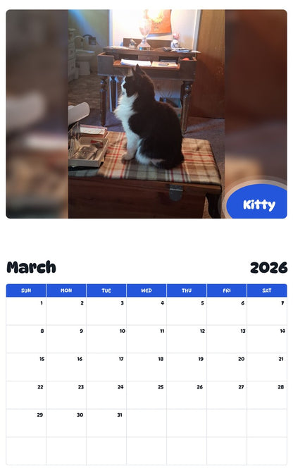 November 2025 - October 2026 Kitty - Pawidols Pet Calendar