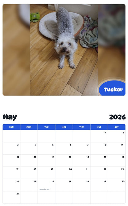 2026 - 2027 Tucker - Pawidols Pet Calendar