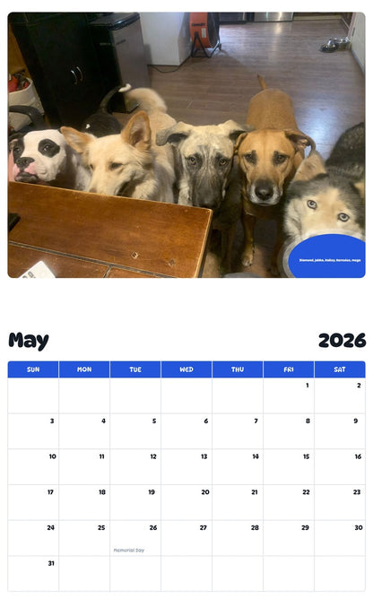 2026 - 2027 Diamond, jabba, Bailey, Hercules, mega - Pawidols Pet Calendar