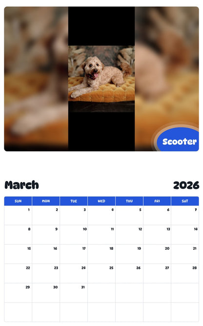 November 2025 - October 2026 Scooter - Pawidols Pet Calendar