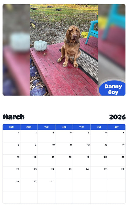 November 2025 - October 2026 Danny Boy - Pawidols Pet Calendar