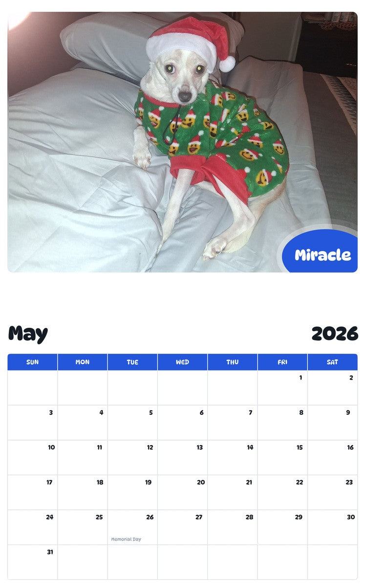 2026 - 2027 Miracle - Pawidols Pet Calendar