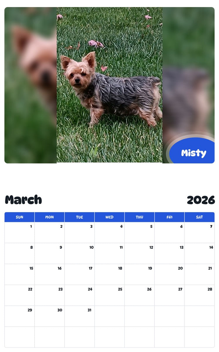 November 2025 - October 2026 Misty - Pawidols Pet Calendar