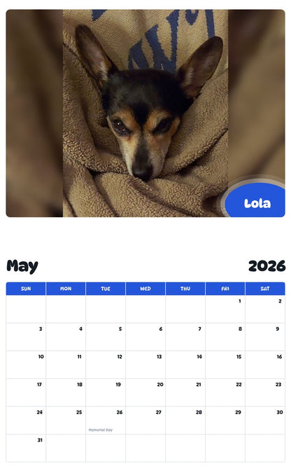2026 - 2027 Lola - Pawidols Pet Calendar