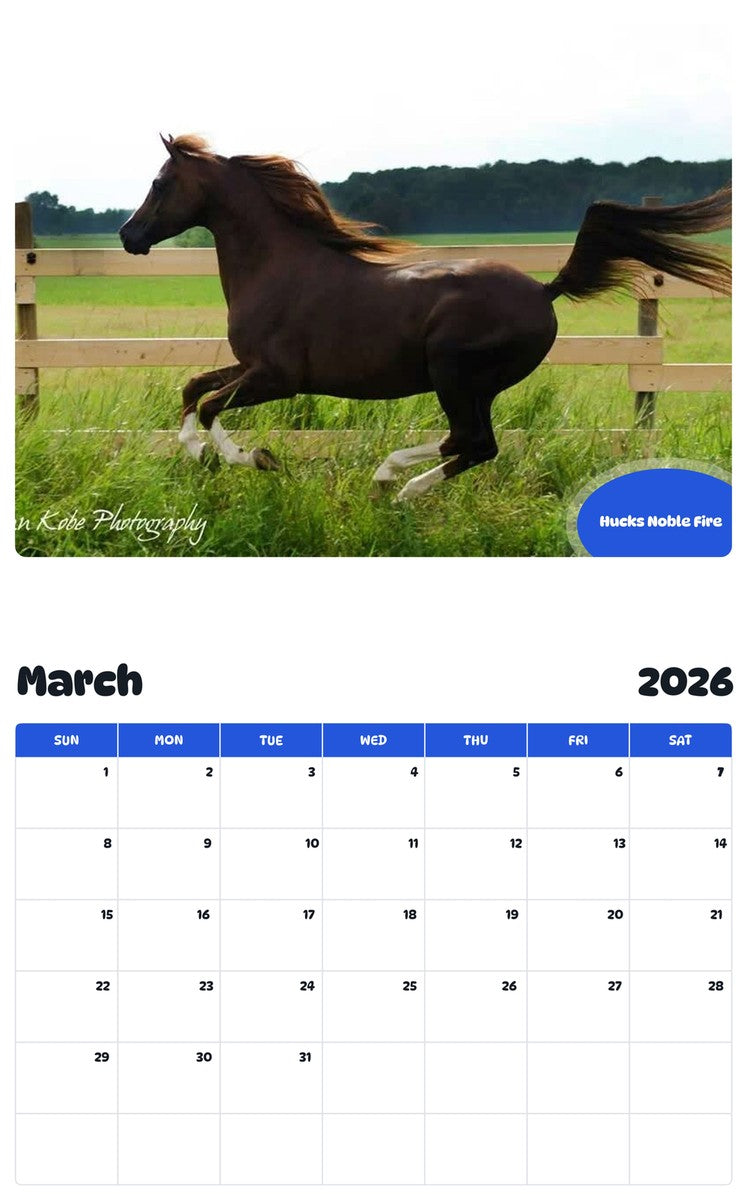 November 2025 - October 2026 Hucks Noble Fire - Pawidols Pet Calendar