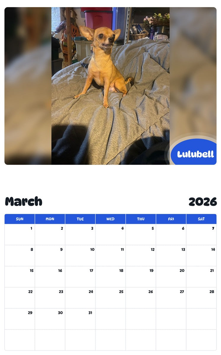 November 2025 - October 2026 Lulubell - Pawidols Pet Calendar