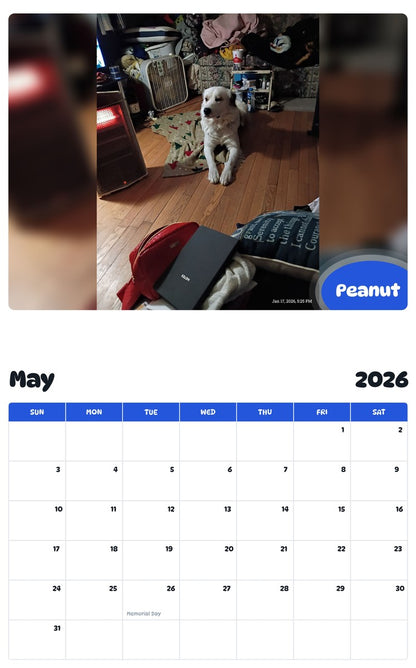 2026 - 2027 Peanut - Pawidols Pet Calendar