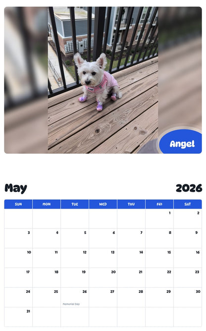 2026 - 2027 Angel - Pawidols Pet Calendar