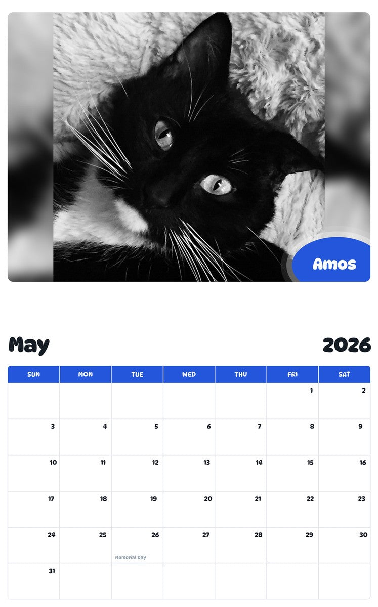 2026 - 2027 Amos - Pawidols Pet Calendar